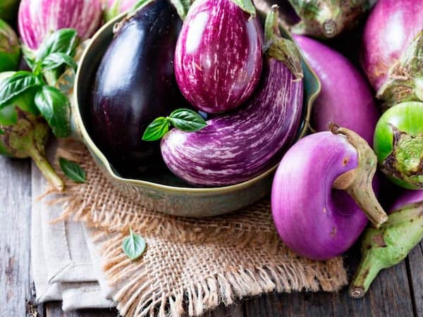 تصویر 3 از فروش بادمجان قلمی کوچک + قیمت خرید به صرفه